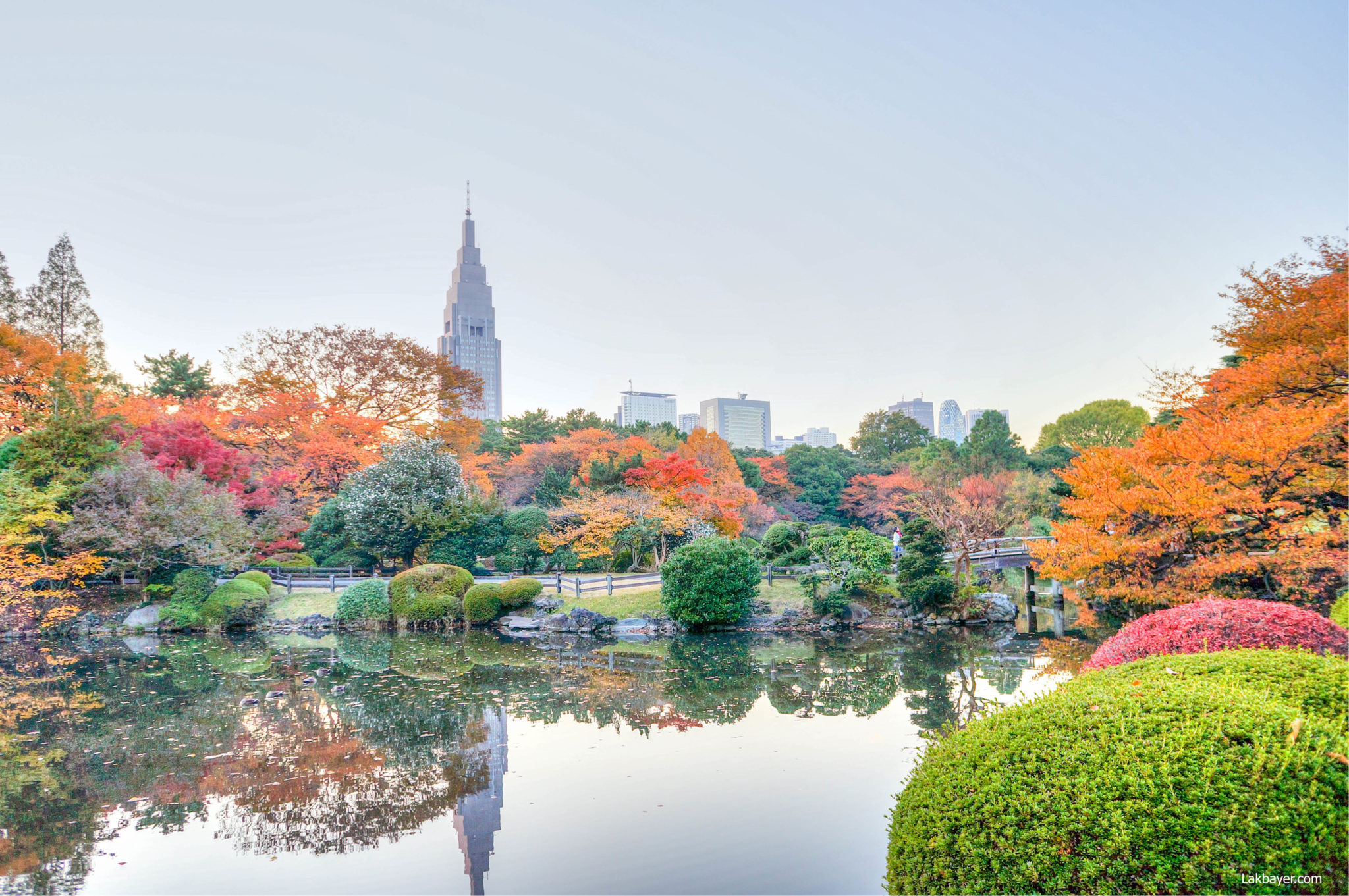Shinjuku Gyoen